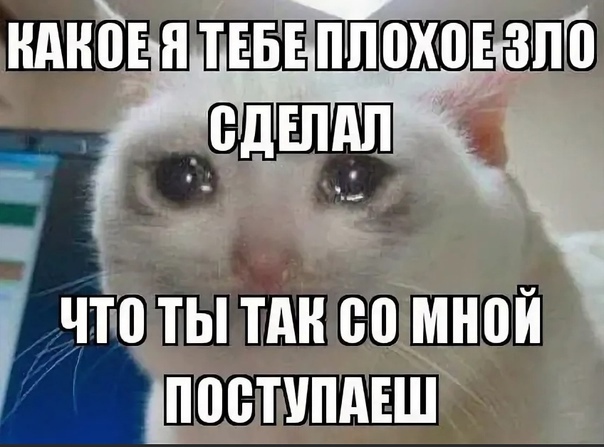 Почему коты плачут