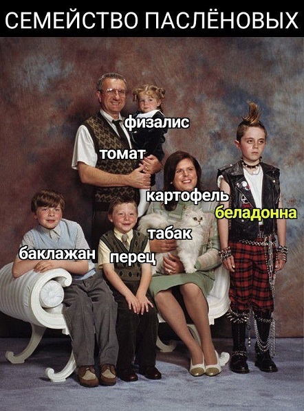 А кто это мы?