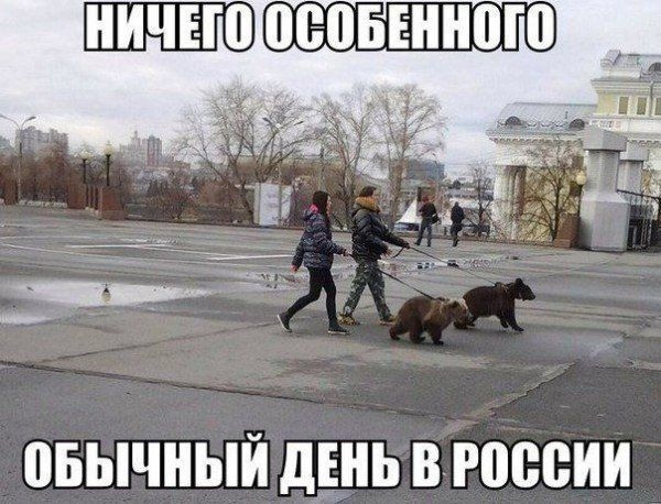 Так себе картинки 22.11.24