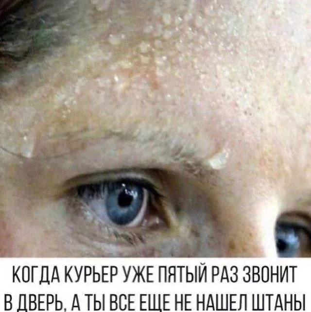 Юмор для тех, кто уже повзрослел и понял, что «личная жизнь» — это кот и плед