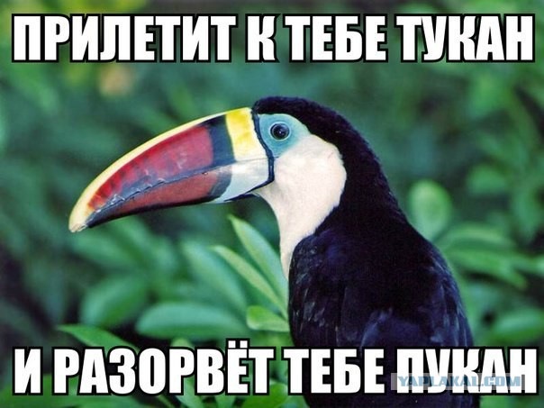 Газонокосильщик