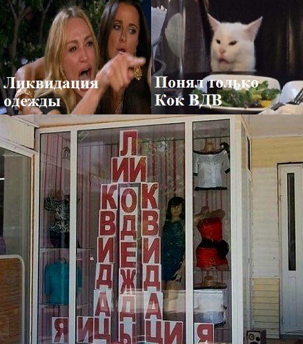 Знаменитый кот 2