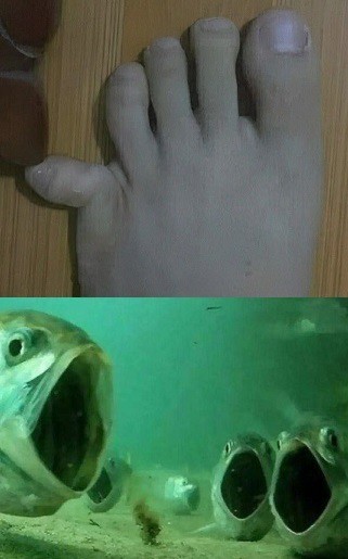 Веселое настроение в картинках 27.07.25