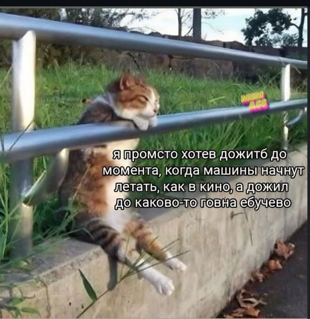 Про автопром. «Я скажу, как обычный гражданин Российской Федерации...»