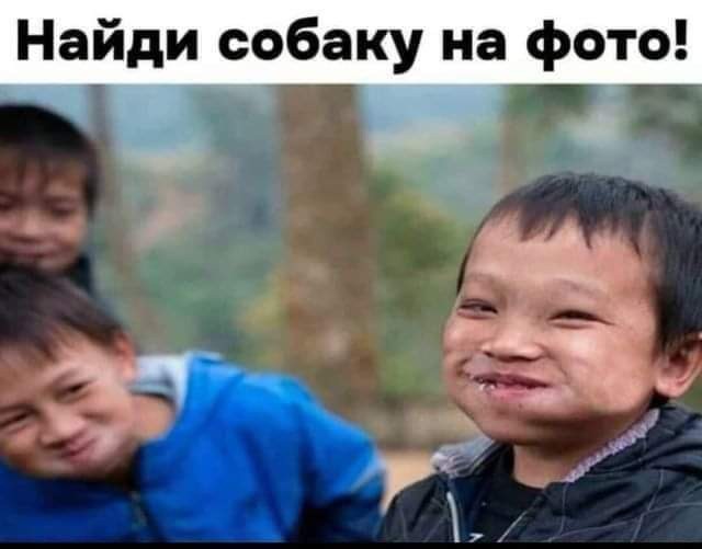 Картинки для деградации 91 (разной степени свежести)