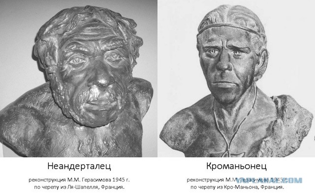 Куда делись неизвестные сейчас виды человека?