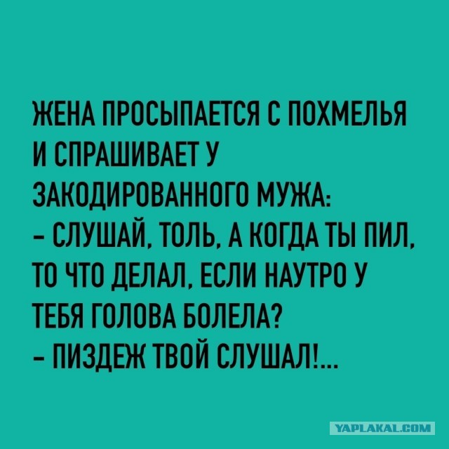 Веселые картинки _)