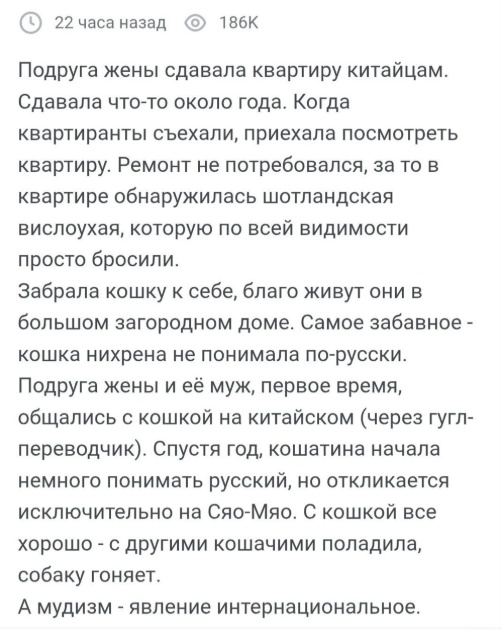 Картиночки, баянчики 11 января