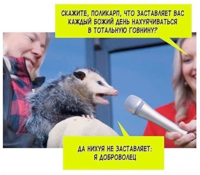 Мои избранные картинки часть 5
