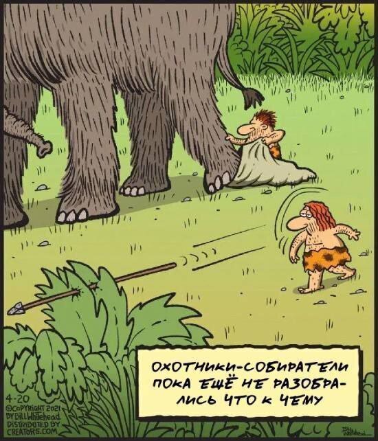 Нуштош. Имаджинирование умственного гуся (s5e5)