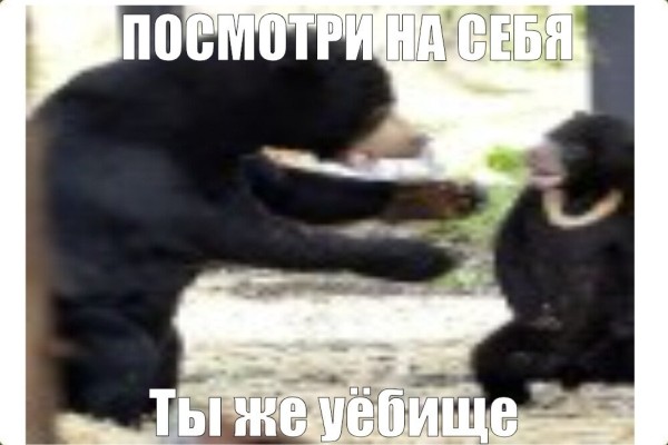 Кто прав?