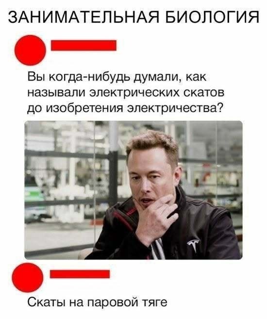 Картинки для деградации 224 (разной степени свежести)
