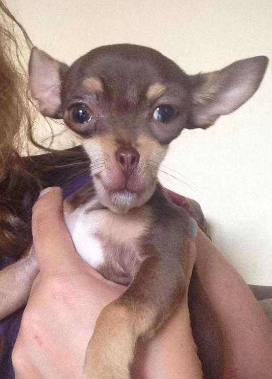 Я не знаю как это озаглавить. Часть 2.