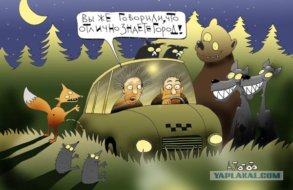 Картинки