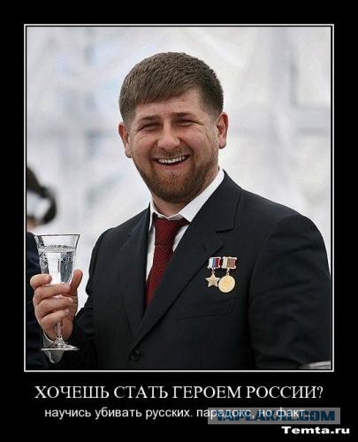 Толерантность...