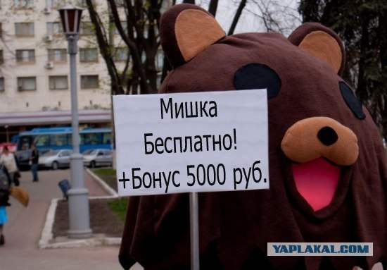 Фото с мишкой.