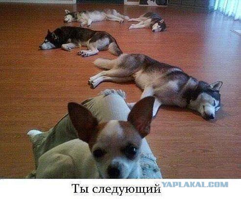 Поднимаем настроение