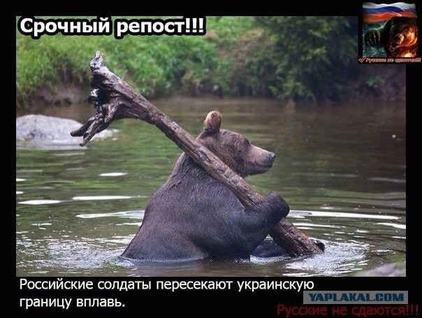 Прикольные пикчи