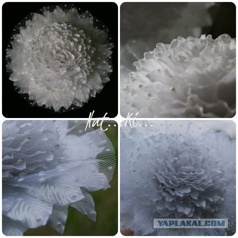 Красивое увлечение супруги