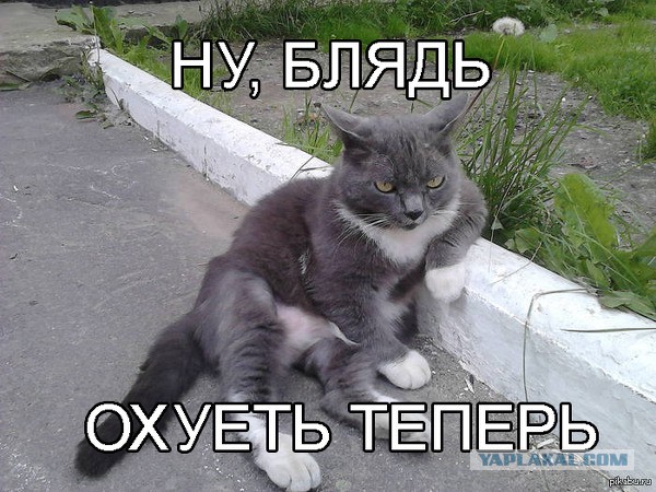 Новости из сумасшедшего дома