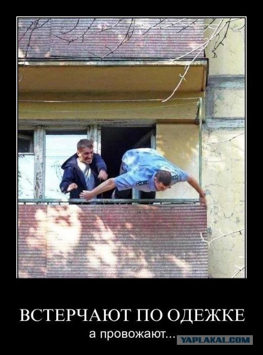 Весёлое из сети