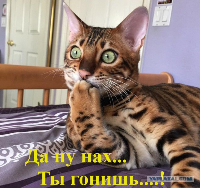 В связи с возросшими темами ...