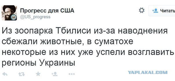 Перемирие кончилось, едва начавшись. Часть 10