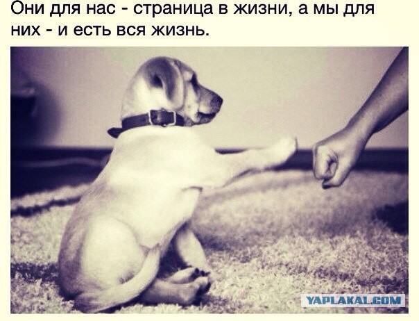 Облака