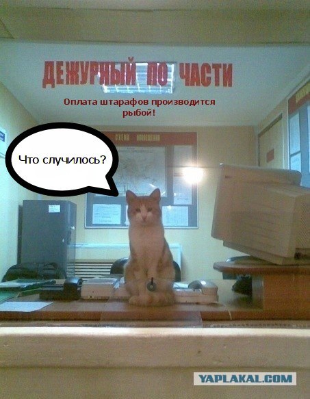 Приходишь в полицию с заявлением