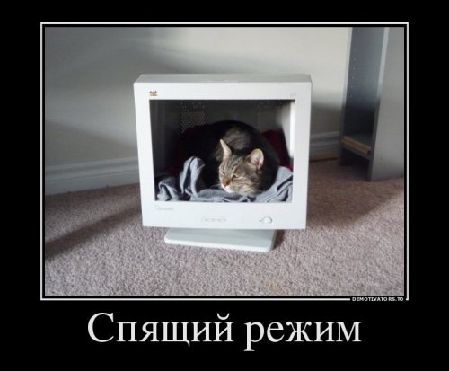 Немного демотиваторов