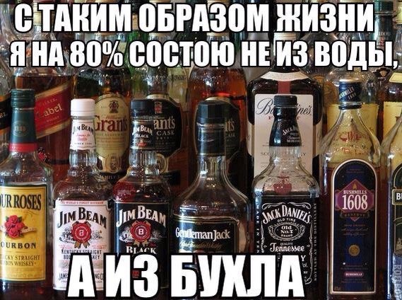 15 картинок с тЫрнета