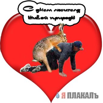 Фотожаба: ползун
