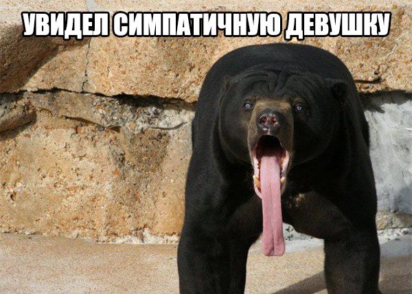 Разные картинки