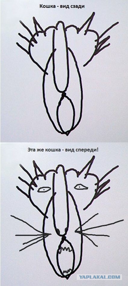 Перспективы развития России