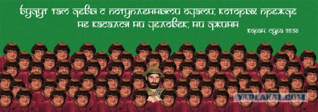 Мы покинем Вашу страну,