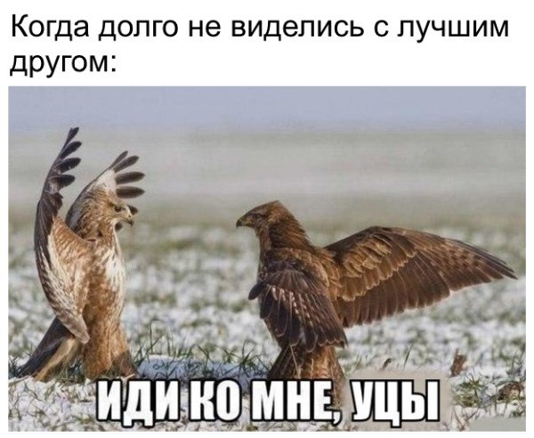 Подборка Картинок из сети