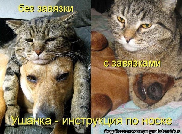 Подборка картинок из сети