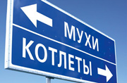 Картинки