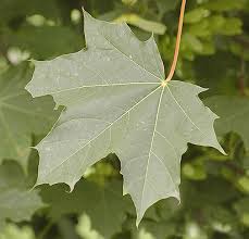 Девушки хвастаются результатом новой эффективной фитнес-программы