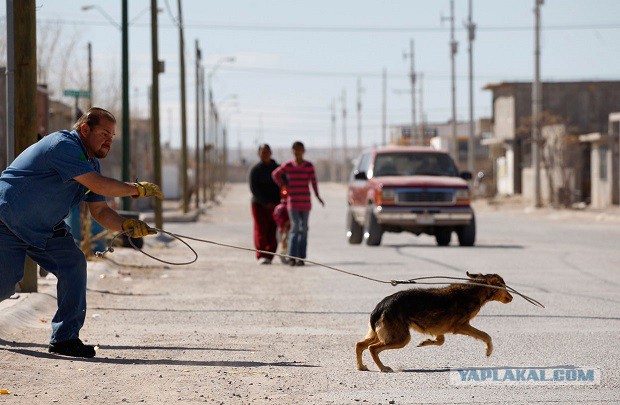 Фото сделанные в нужный момент