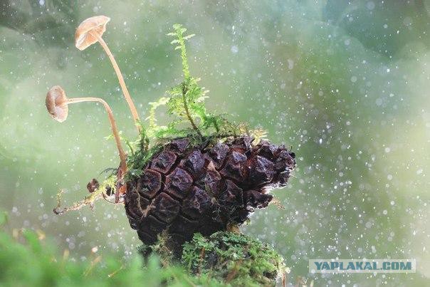 Красивая Россия