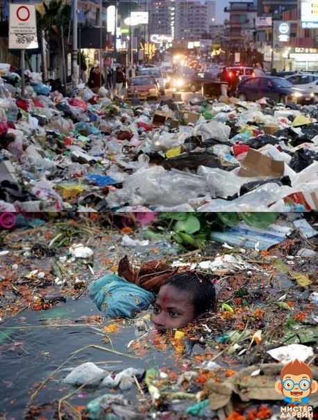 Интересные и веселые картинки