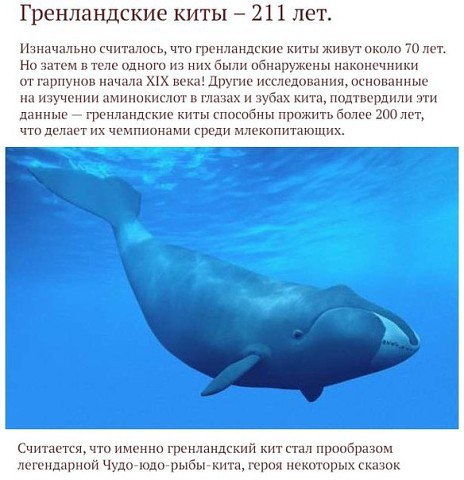 Картинки разные