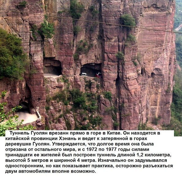 Интересные и веселые картинки