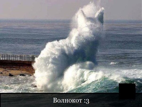 Неожиданной тупости пост