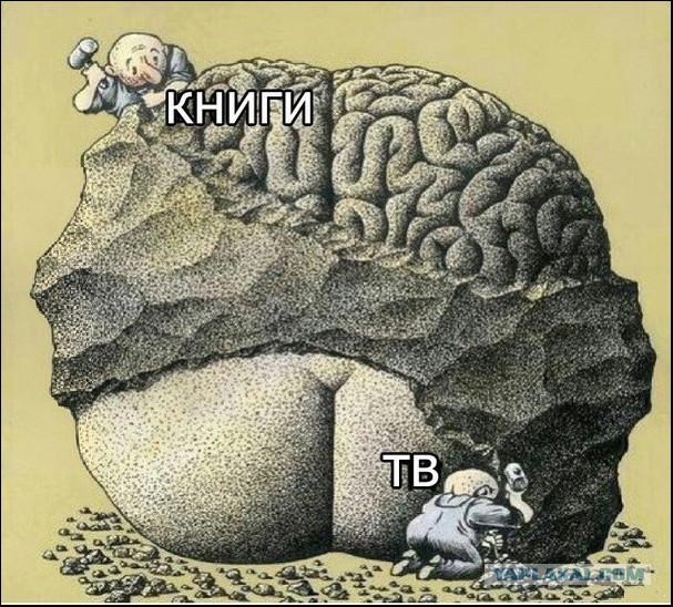 В СПб памятную доску Колчаку завесили плакатом с Волан-де-Мортом