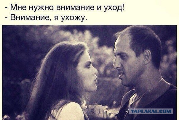 Сударыня интересуется