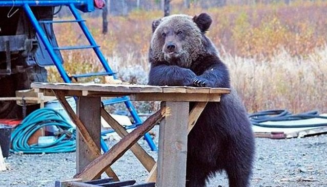 Алиби, или как Люся в баню ходила