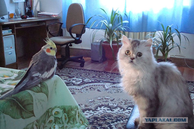 С выраженьем на лице...