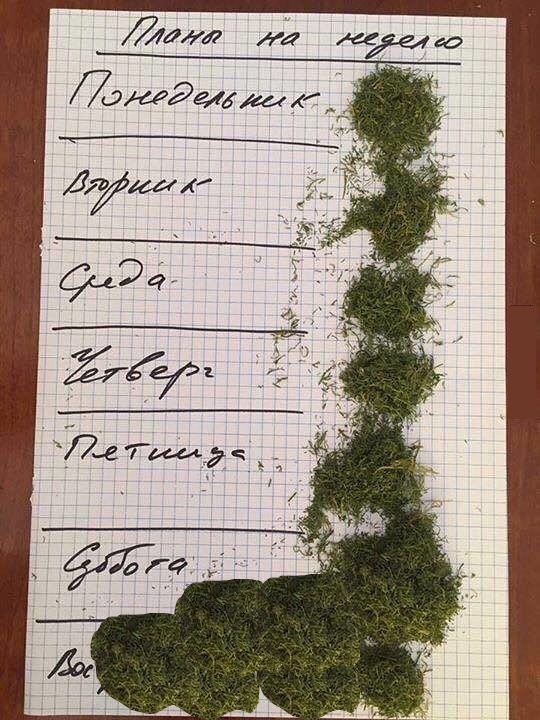 А что, если...